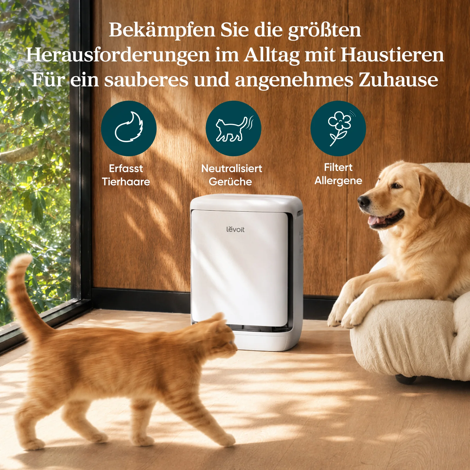 LEVOIT Vital Pet Pro Luftreiniger für Haustiere und große Räume - Image 6